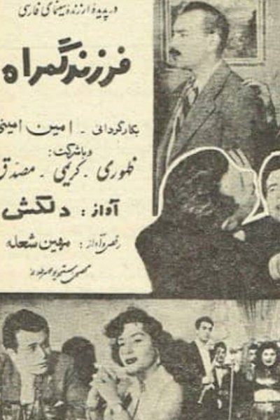 movie poster for The Misguided Child