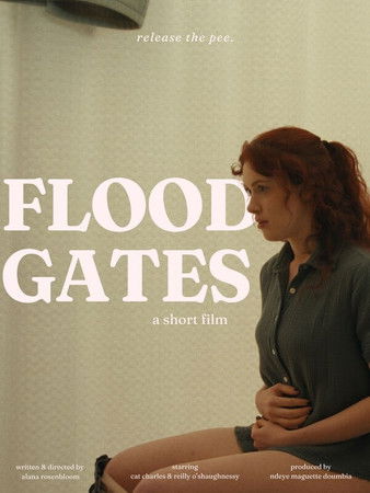Poster do Filme Floodgates