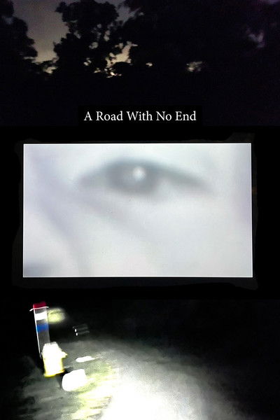 movie poster for A Road With No End