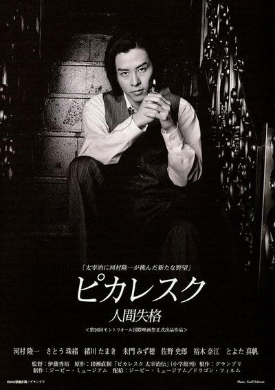 movie poster for Picaresque