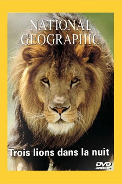 Poster do Filme National Geographic : Trois lions dans la nuit