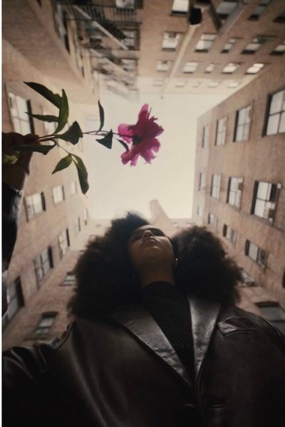 Poster do Filme The Young Lordes Collective