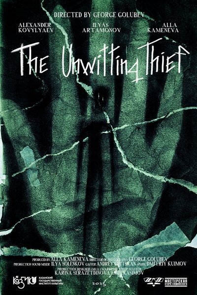 movie poster for The Unwitting Thief
