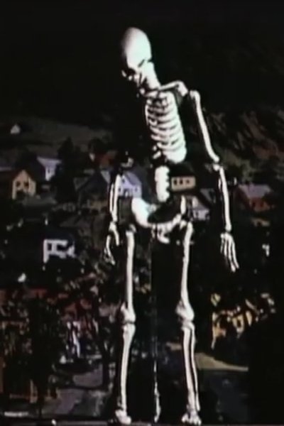 movie poster for Taurus Test Footage