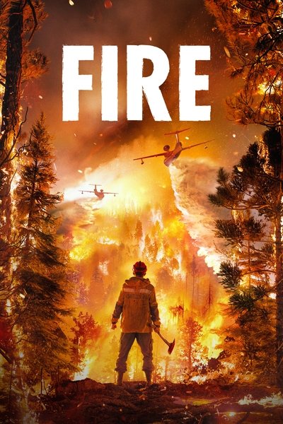 Poster for the movie Fire