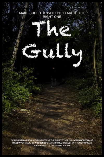 Poster do Filme The Gully