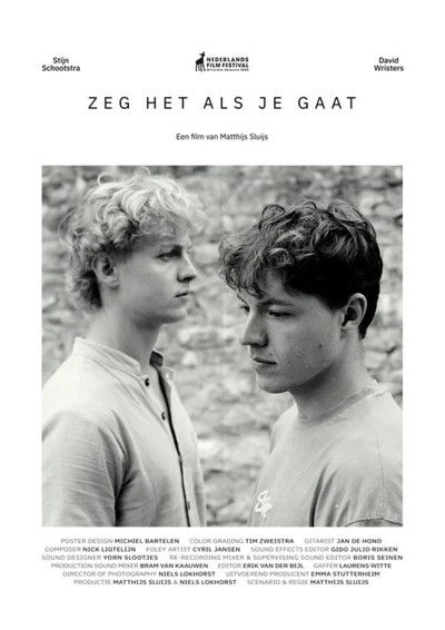 Poster do Filme Zeg het als je gaat
