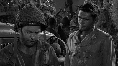 The Purple Testament