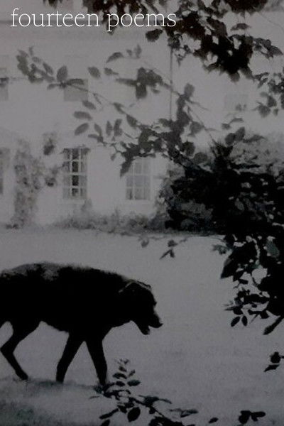 Poster do Filme Fourteen poems
