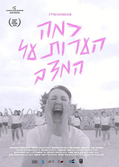 Poster do Filme כמה הערות על המצב