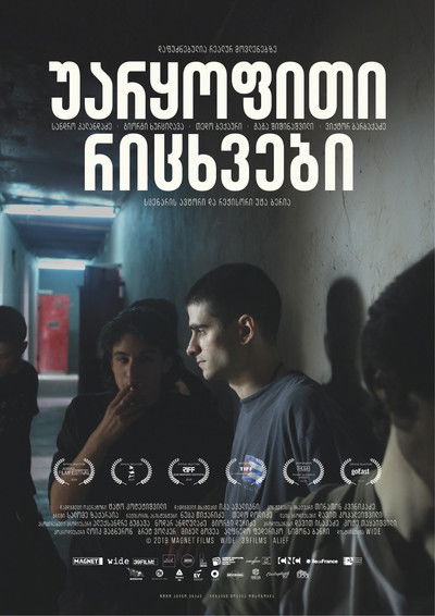 Poster do Filme უარყოფითი რიცხვები