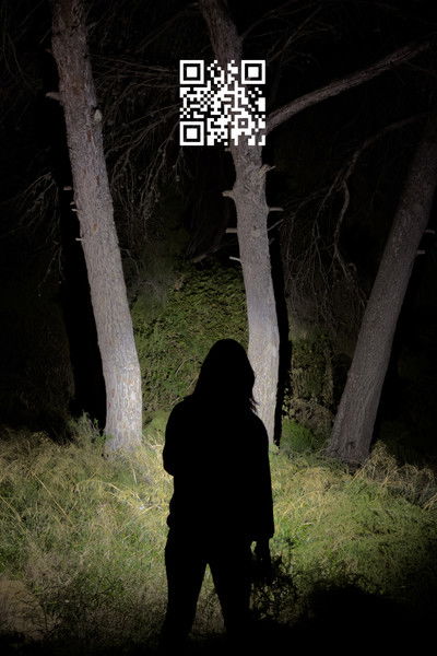 Poster do Filme Q.R.