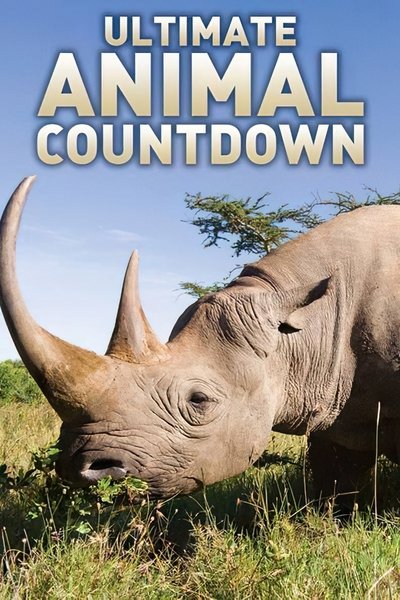 poster for Ultimate Animal Countdown