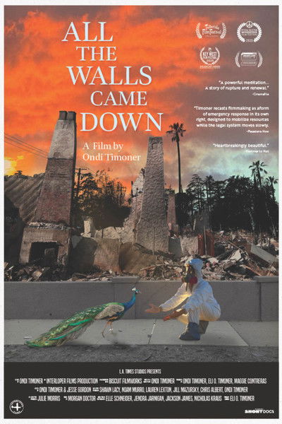 Poster do Filme All the Walls Came Down