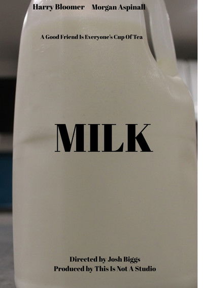 Poster do Filme Milk
