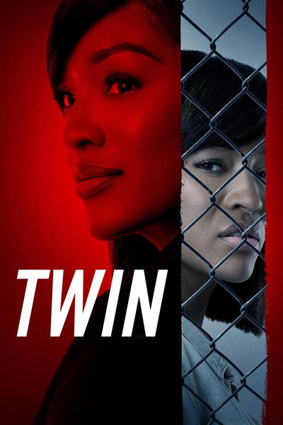 movie poster for TWIN