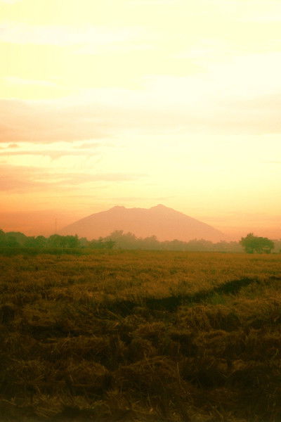 Poster do Filme Irik ng Lunggati