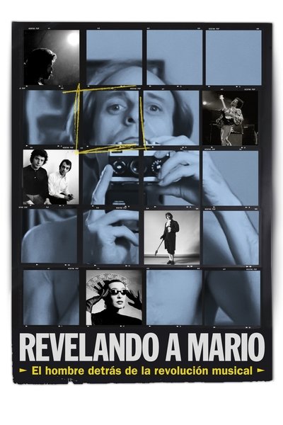 Poster do Filme Revelando a Mario