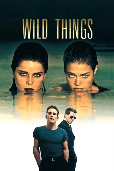 Poster for the movie Wild Things