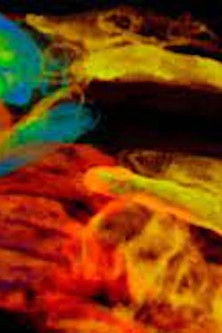 Poster do Filme AETERNA