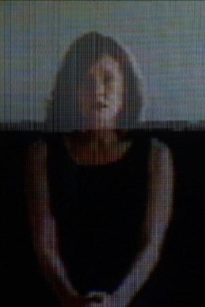 movie poster for The Fountain
