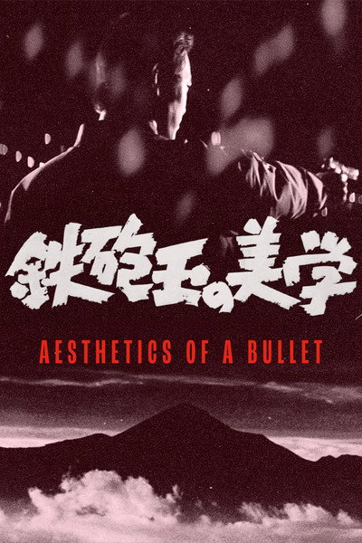 Aesthetics of a Bullet
