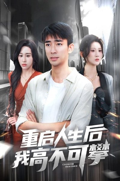 poster for 重启人生后我高不可攀
