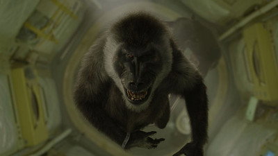 Görsel #143459