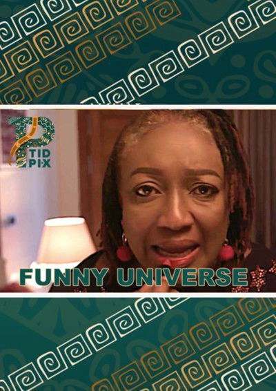 Poster do Filme Funny Universe