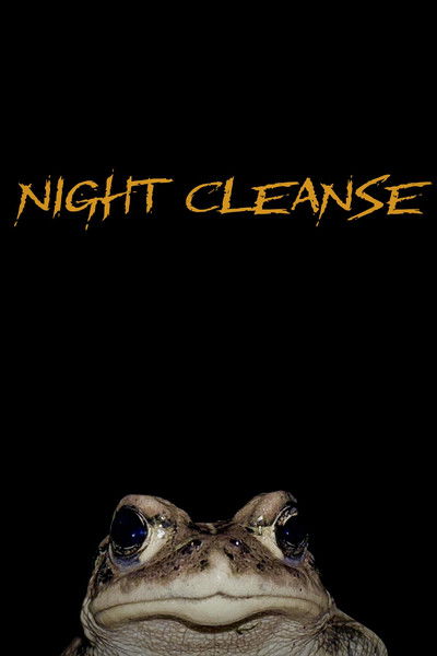 Poster do Filme Night Cleanse
