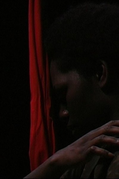 Poster do Filme TRAGEDIA ENDOGONIDIA - S.#08 STRASBOURG