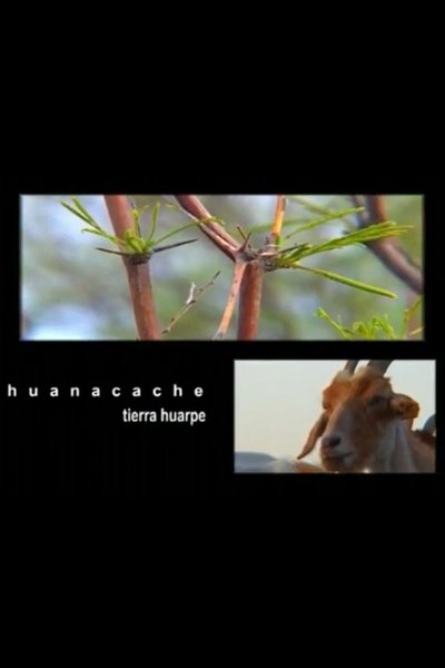 movie poster for Huacanche, Tierra Huarpe