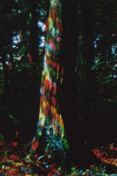 Poster do Filme Rojo Žalia Blau