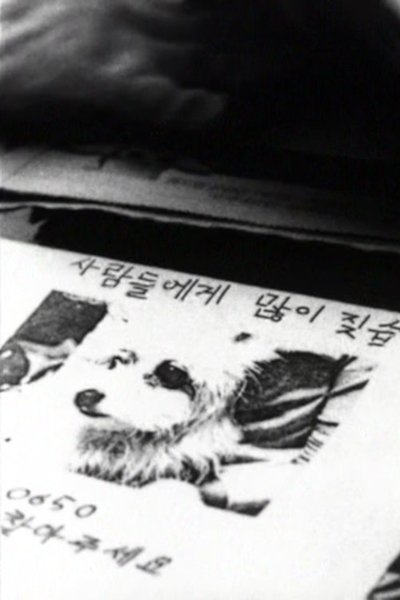 movie poster for Doggy