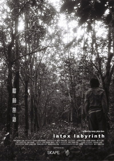 Poster do Filme Latex Labyrinth