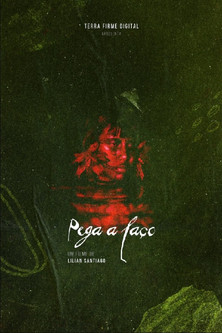 Poster do Filme Pega a Laço