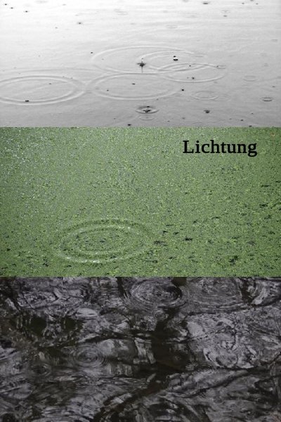 movie poster for Lichtung