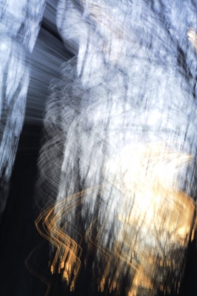 movie poster for Josefina