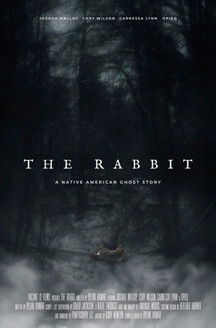 Poster do Filme The Rabbit