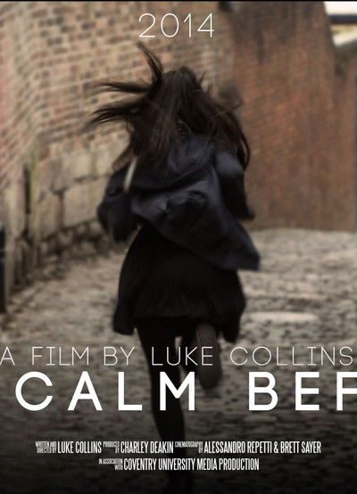 Poster do Filme The Calm Before
