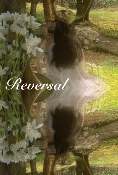 Poster do Filme Reversal