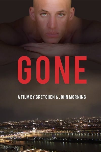 Poster do Filme Gone: The Disappearance of Aeryn Gillern