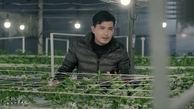 tv poster