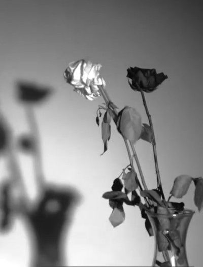 Poster do Filme Un peu de rouge ?