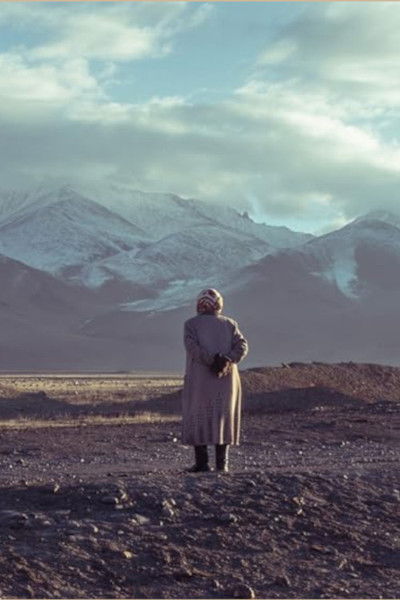 Poster do Filme Women Behind the Wheel