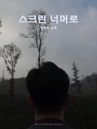 movie poster for 스크린 너머로