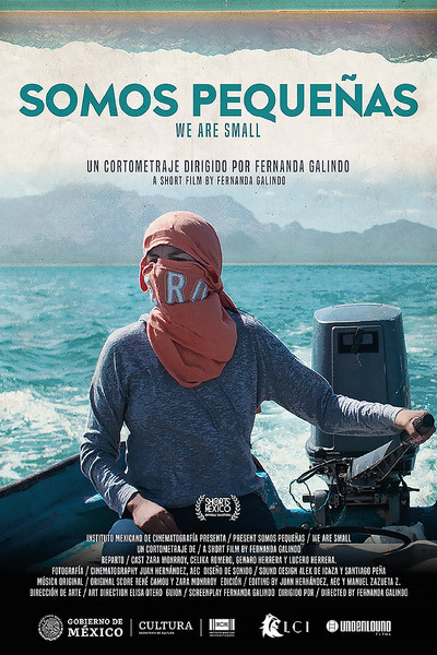 Poster do Filme Somos pequeñas