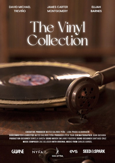 Poster do Filme The Vinyl Collection