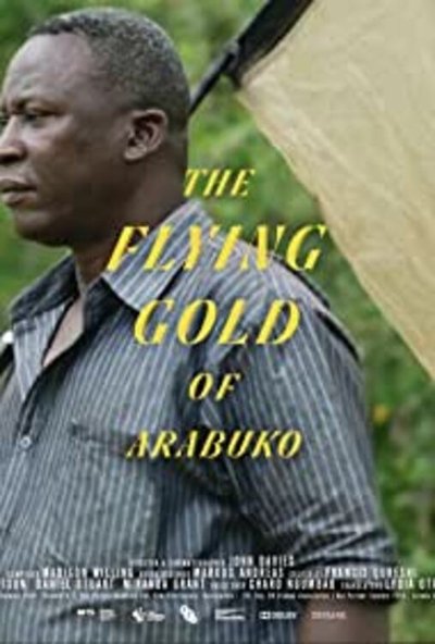 Poster do Filme The Flying Gold of Arabuko