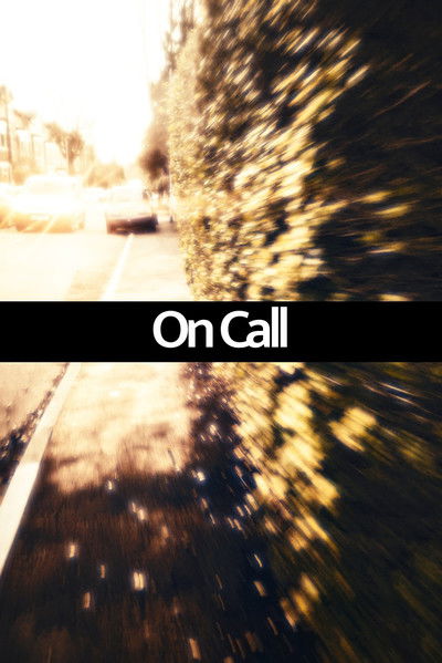movie poster for On Call